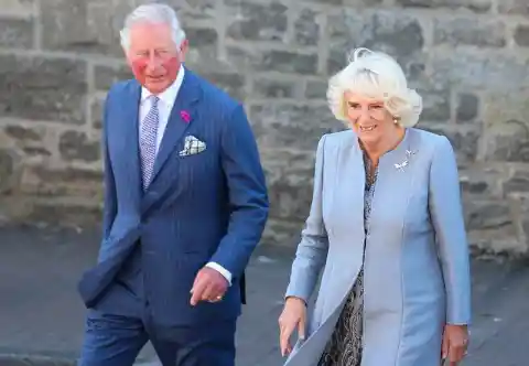 The Public Didn't Like The Duchess Camilla