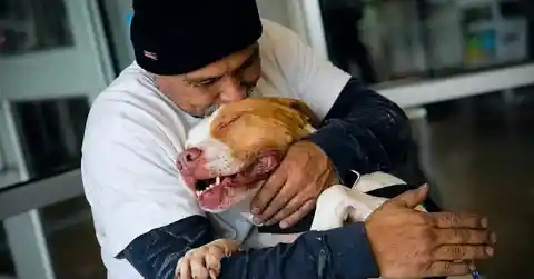 Man Overheard Returning Dog To Shelter For Being 'Too Affectionate' So Stranger Calls Him Out