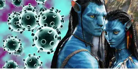 Three sequels to the 2009 movie Avatar have stopped filming in New Zealand.