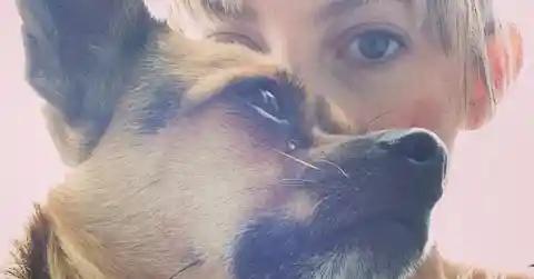 Woman Spots Strangers Walking Her Dog, Devises Plan To Get Him Back