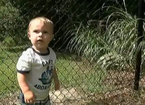 Hero Cat Saves Toddler From Family Friend