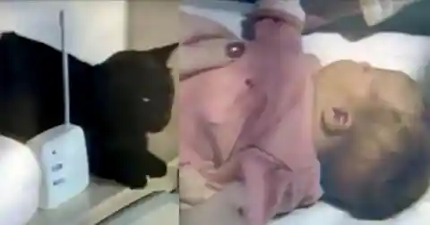 Woman Hears Noise On Baby Monitor Then Realizes Somethings Far Off