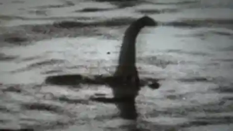 Loch Ness Monster’s Baby?