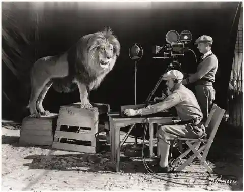 9. “Jackie” the Lion, recording the MGM roar, 1928.