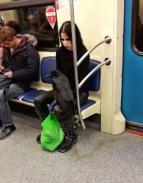 The Strangest People You'll See On The Subway