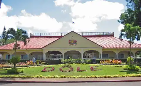 Dole Plantation, Hawaii