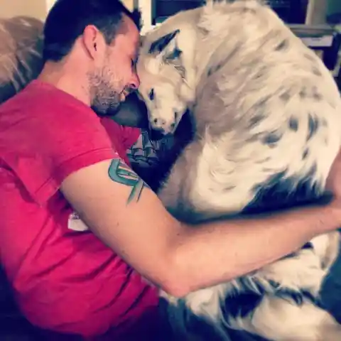 Dog Doesn’t Let People Touch Him, Then This Happens