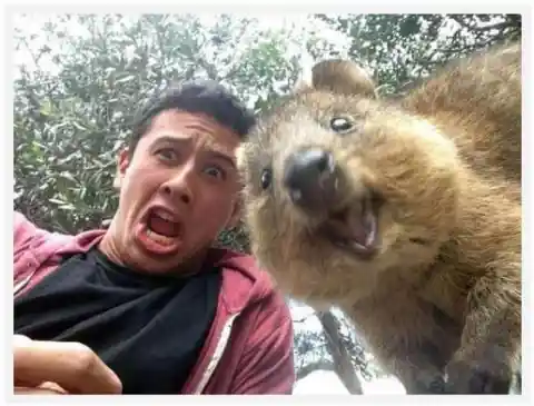 Perfectly Timed Selfies
