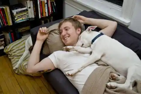 Does your dog like to cuddle after meals? That’s a proof that you’re his best friend.
