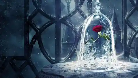 In Beauty and the Beast, the enchanted rose would bloom until which of the Beast's birthdays?