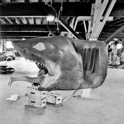Spielberg called Jaws “his Vietnam.”
