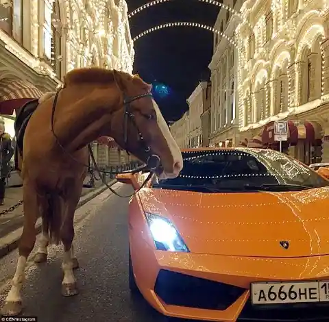 A horse next to a Lamborghini at a beautiful street somewhere in Russia