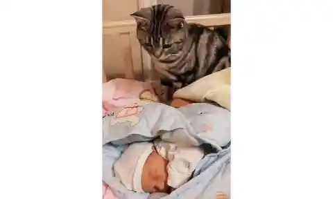 The Birth Of The Baby
