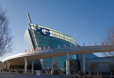 Georgia Aquarium, Georgia