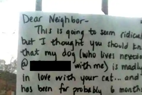 She Reached Out To The Neighbor