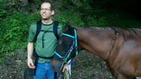 Hikers Found This Horse Alone in the Woods, Then They Looked At His Face And Realized…