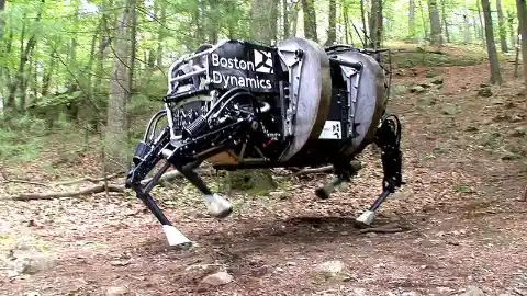 20 Terrifying Robots That Will Change Our Lives In 2021
