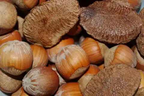 4. Brazil Nuts