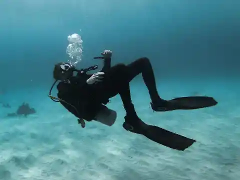 Seal Wouldn't Leave Diver Alone, He Realizes Why