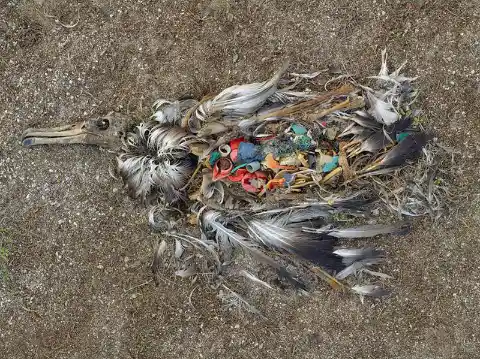 20 Heartbreaking Photos Of Pollution That Will Leave You Furious