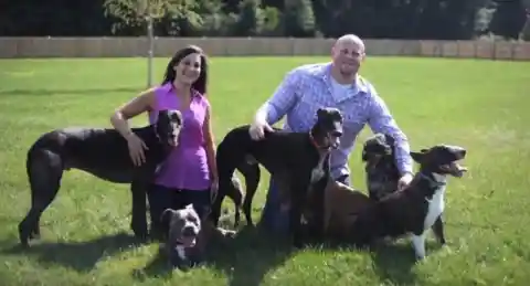 One Big, Happy, Furry Family