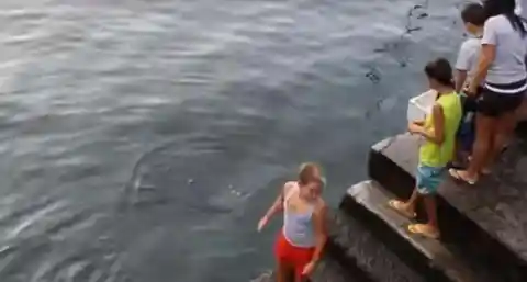Little Boy Gets Too Close to the Water, Sea Creature Brushes Against His Feet