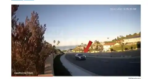 Traffic Camera's Caught Tiger Just Before the Crash