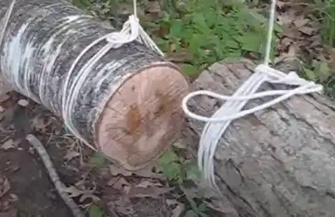 The Swinging Log Trap