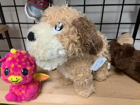 Dog Toys