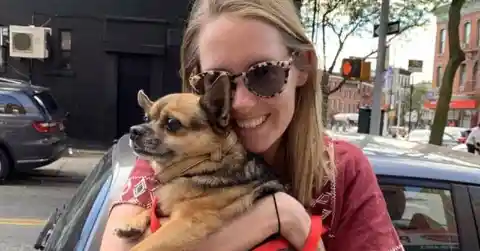 Woman Spots Strangers Walking Her Dog, Devises Plan To Get Him Back
