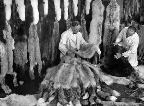 Russian Fur Trade