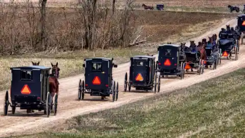 43 Facts About The Amish Everyone Should Know