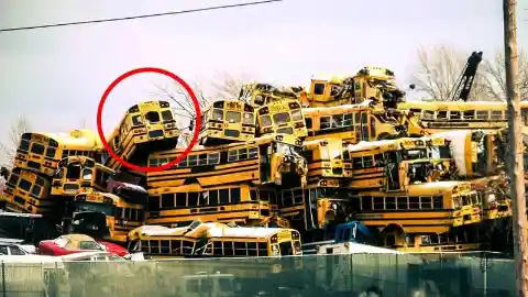 83-Year-Old Man Collects School Buses And Buries Them To The Ground To Create Something Incredible