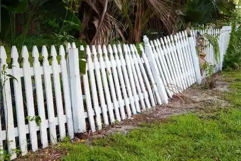 The Broken Fence