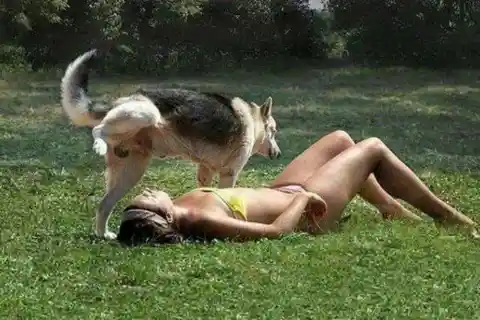 Dog mistakes hot woman for fire hydrant