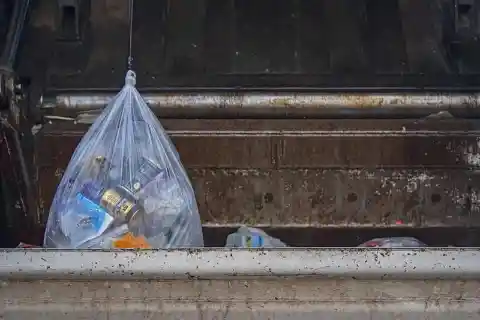 Garbage Truck Worker Sees Trash Bag Moving In The Road, Opens It And Jumps