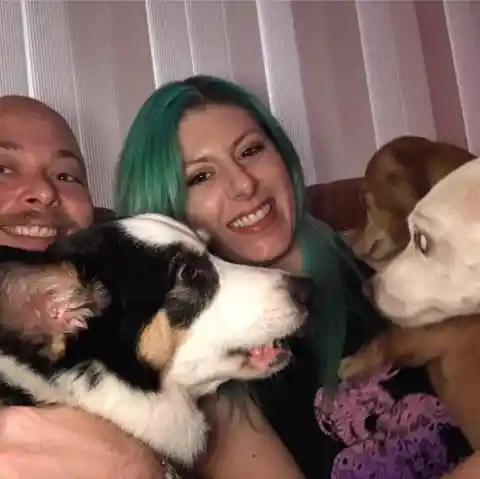 Florida Man With 8 Dogs