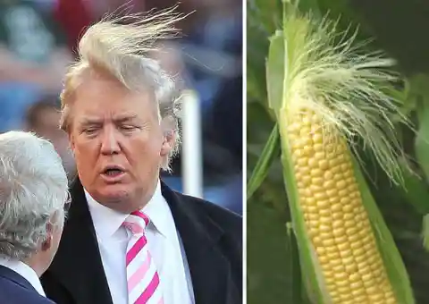 Donald Trump: What Is His Hair?!