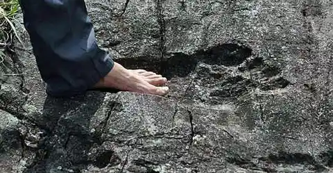 A Giant Footprint