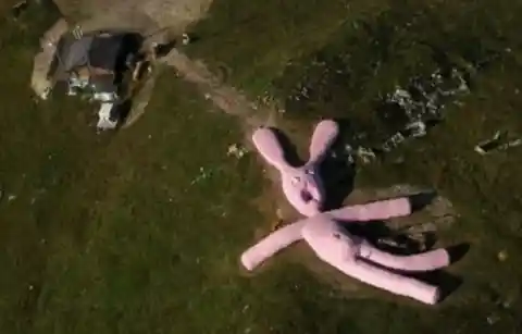 The Giant Pink Rabbit