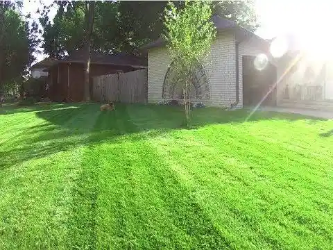 Neighbor Demands That She Clean Her Lawn, But She Gets The Last Laugh