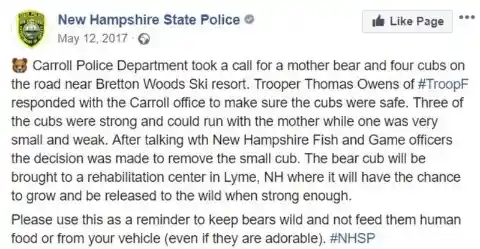 Cop Stumped When Bear Refuses To Move, Looks Closer And Realizes He Has To Act Fast