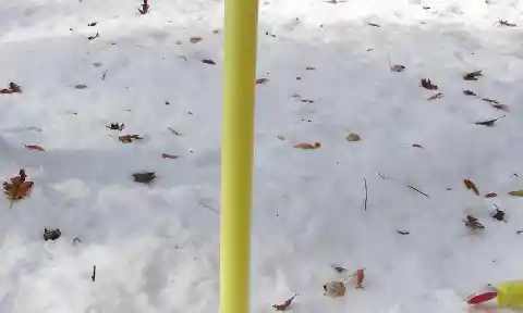 Stick Your Pool Noodle In The Snow