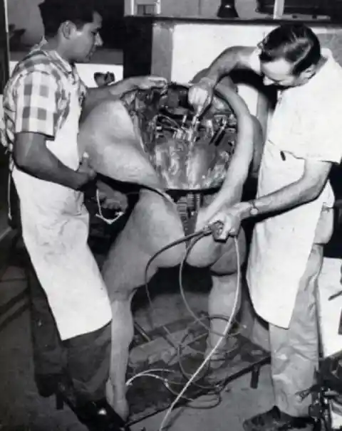 2. Cyborg Succubus real photo, 1953.