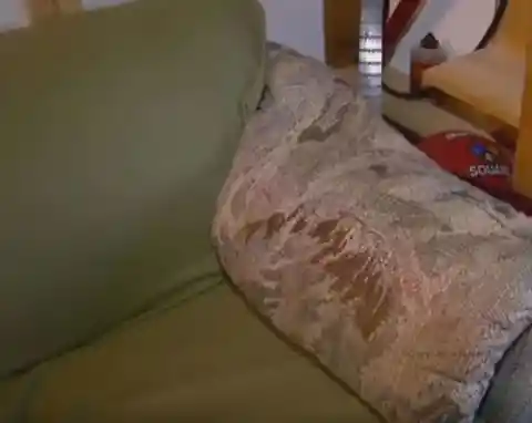 College Roommates Purchased An Old Couch, Found Something Strange Inside