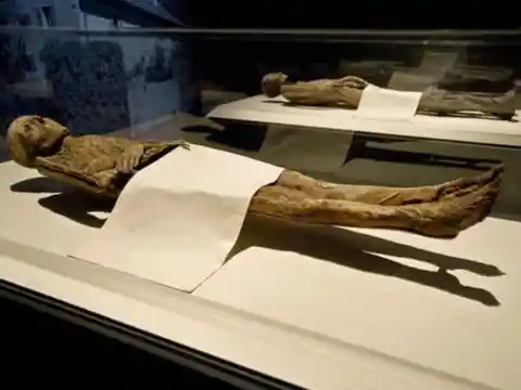 The Cocaine Mummies
