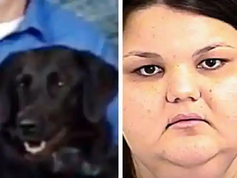 Little Boy Can't Tell Parents About Cruel Nanny, But Hero Dog Saves Him