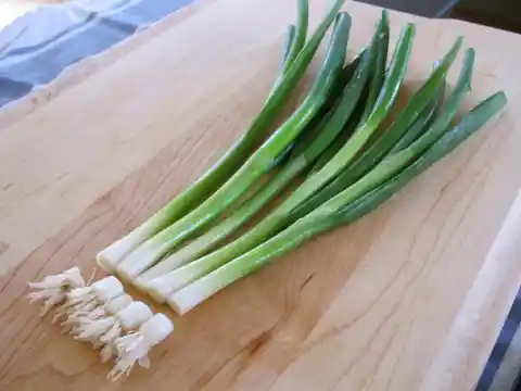 Garlic, onion and chives against insects