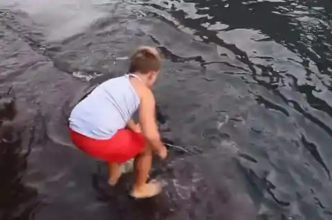 Little Boy Gets Too Close to the Water, Sea Creature Brushes Against His Feet