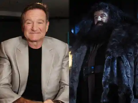 Robin Williams - Hagrid